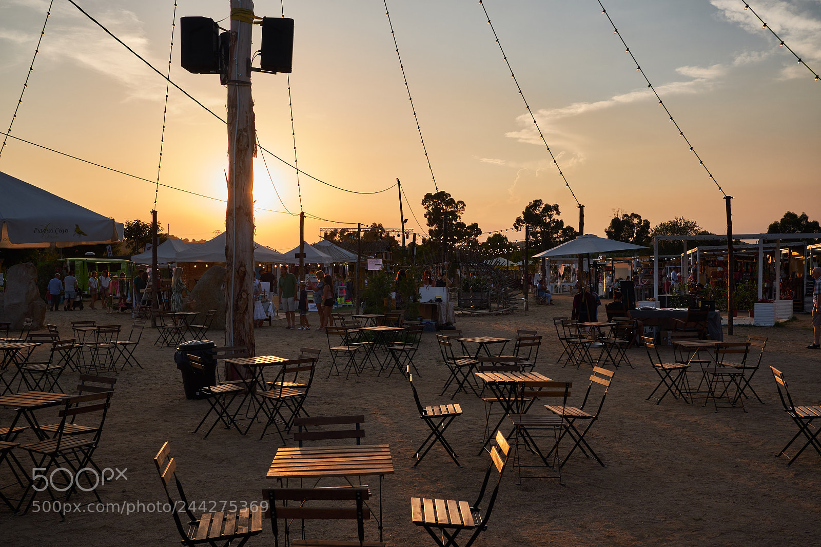 Fujifilm X-T20 sample photo. 36407513295.jpg photography