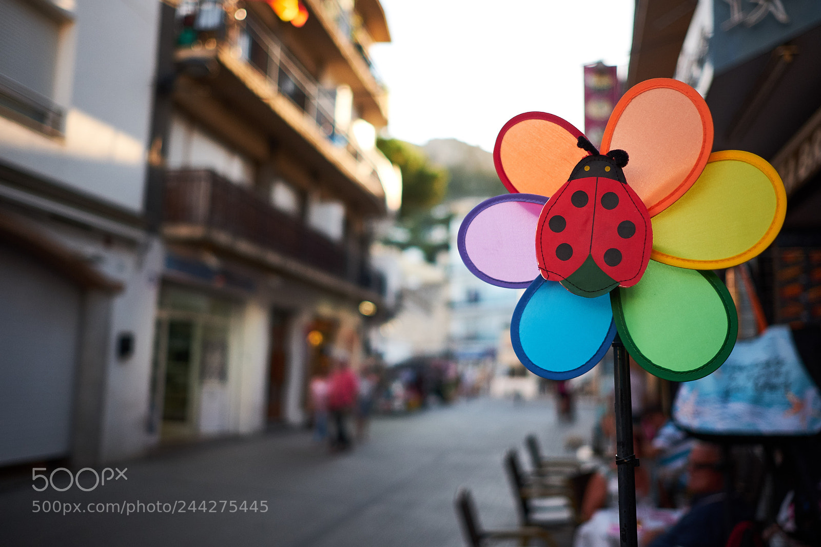 Fujifilm X-T20 sample photo. 35520679615.jpg photography