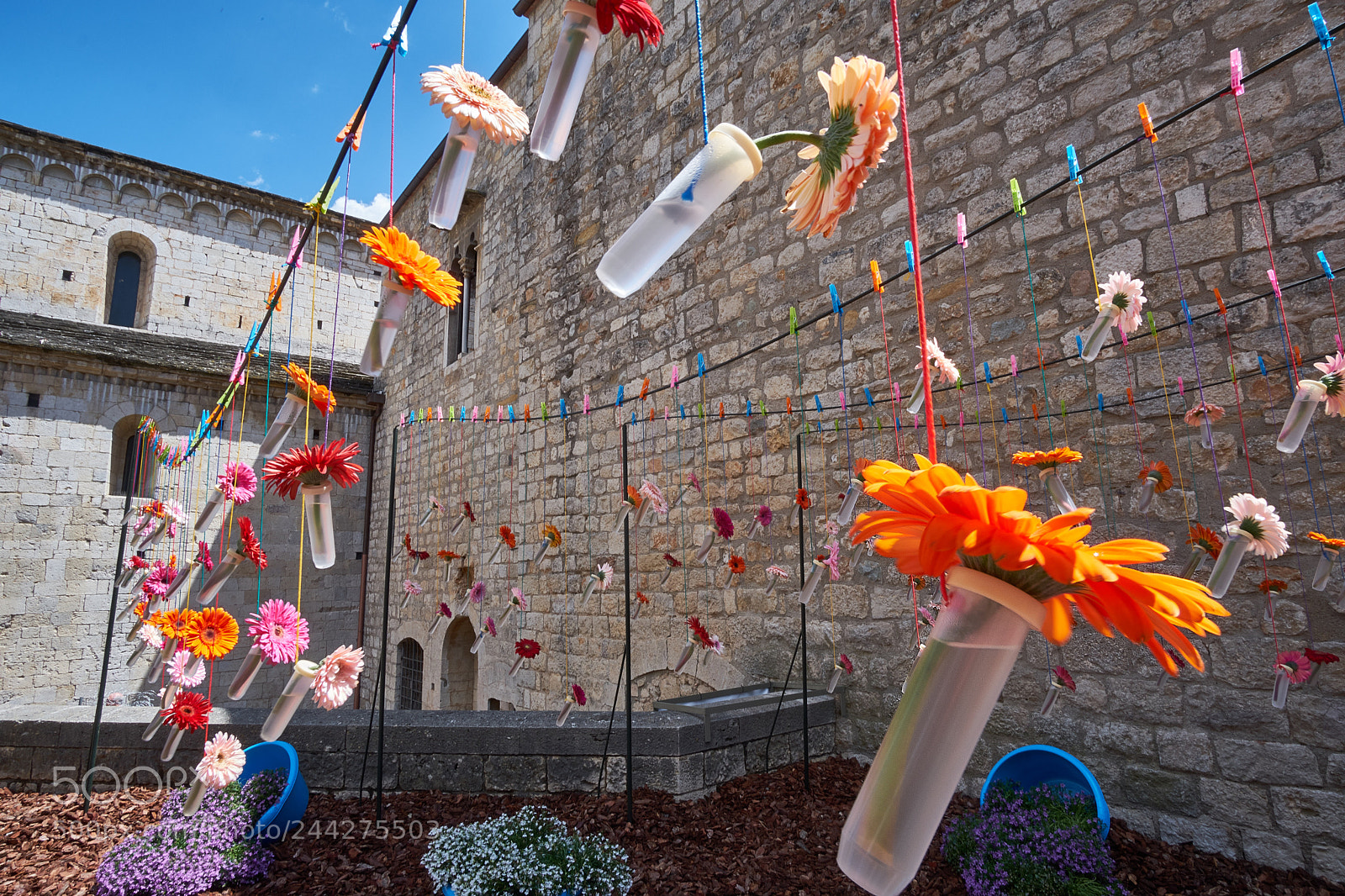 Fujifilm X-T20 sample photo. 34399028620.jpg photography