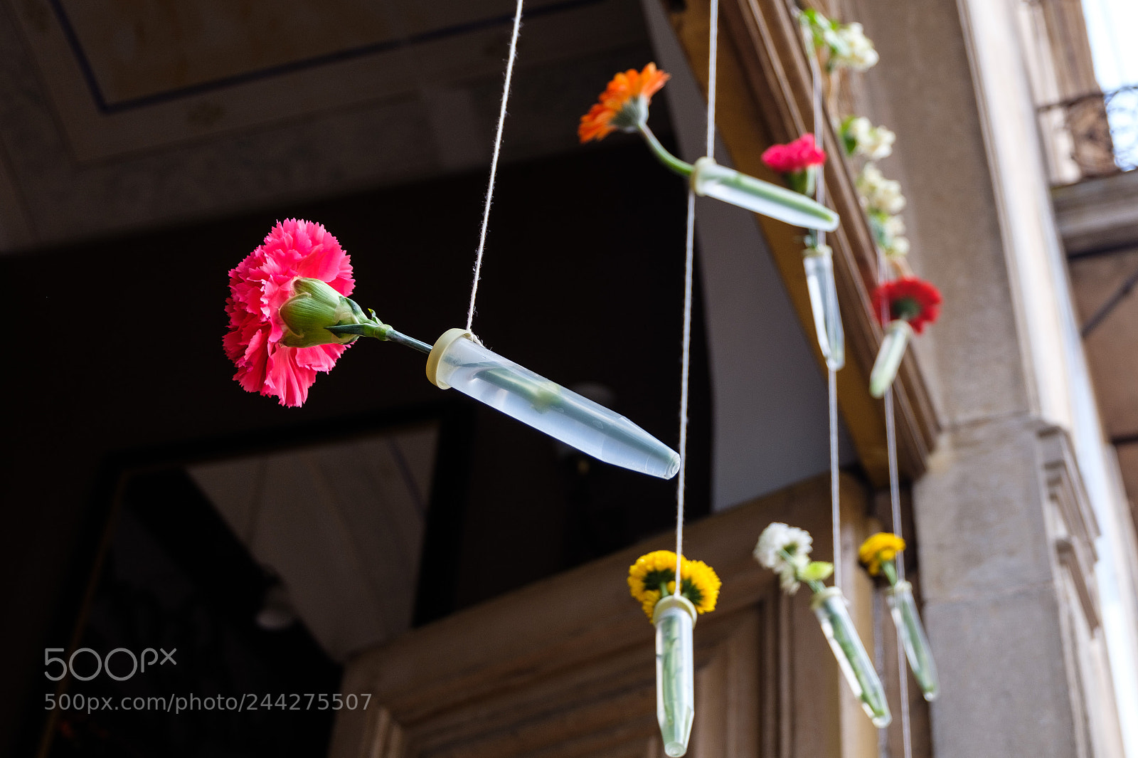 Fujifilm X-T20 sample photo. 34362690341.jpg photography