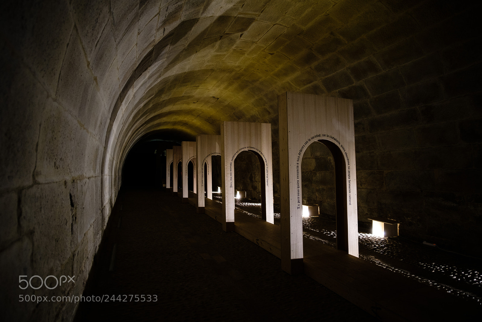Fujifilm X-T20 sample photo. 34274137592.jpg photography