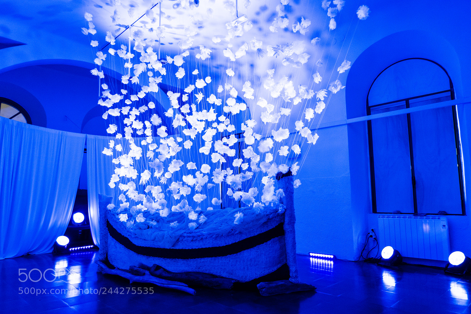 Fujifilm X-T20 sample photo. 34362718531.jpg photography