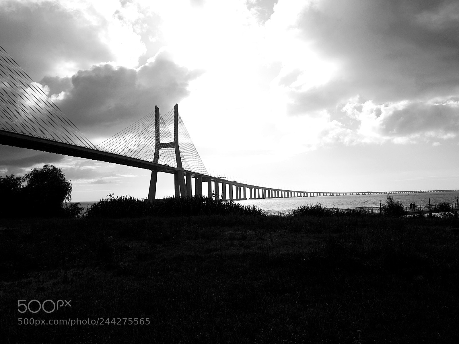 Olympus OM-D E-M10 II sample photo. Bridge vasco da gama photography