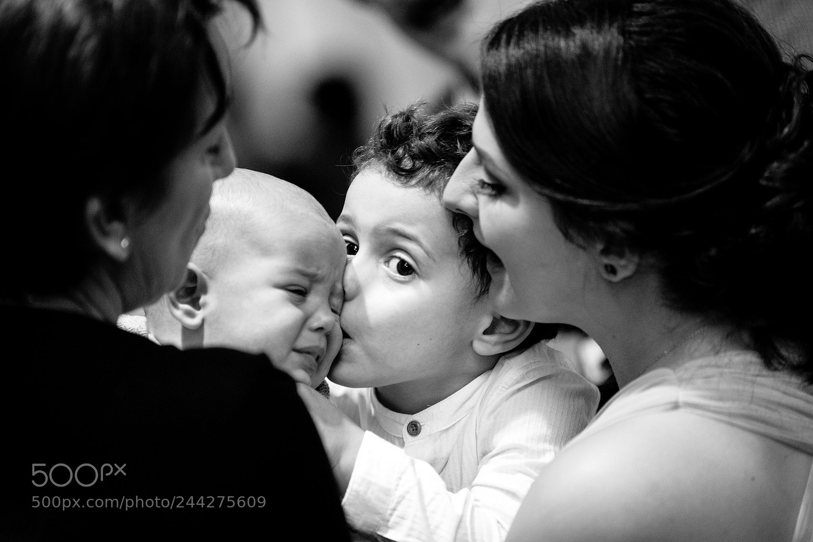 Canon EOS-1D X sample photo. Untitled photography