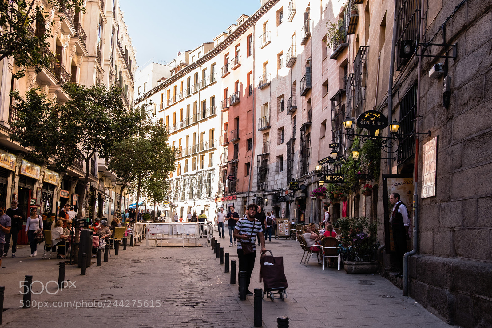 Fujifilm X-T20 sample photo. 33728978440.jpg photography
