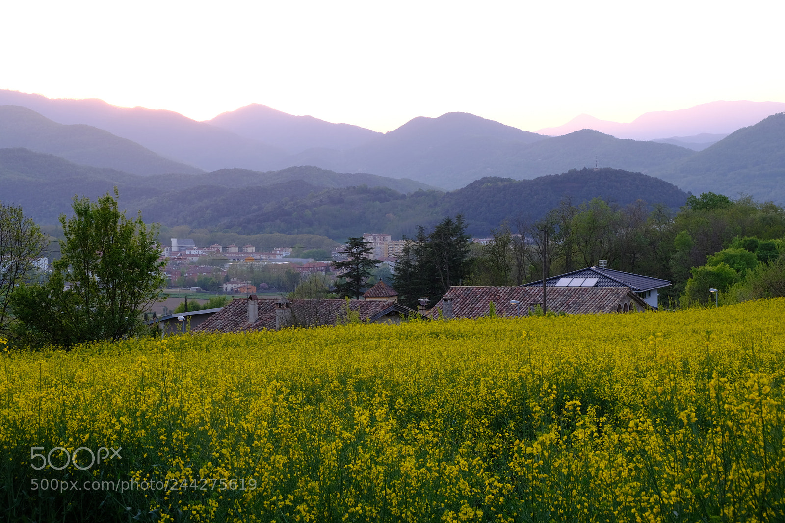 Fujifilm X-T20 sample photo. 33872991911.jpg photography