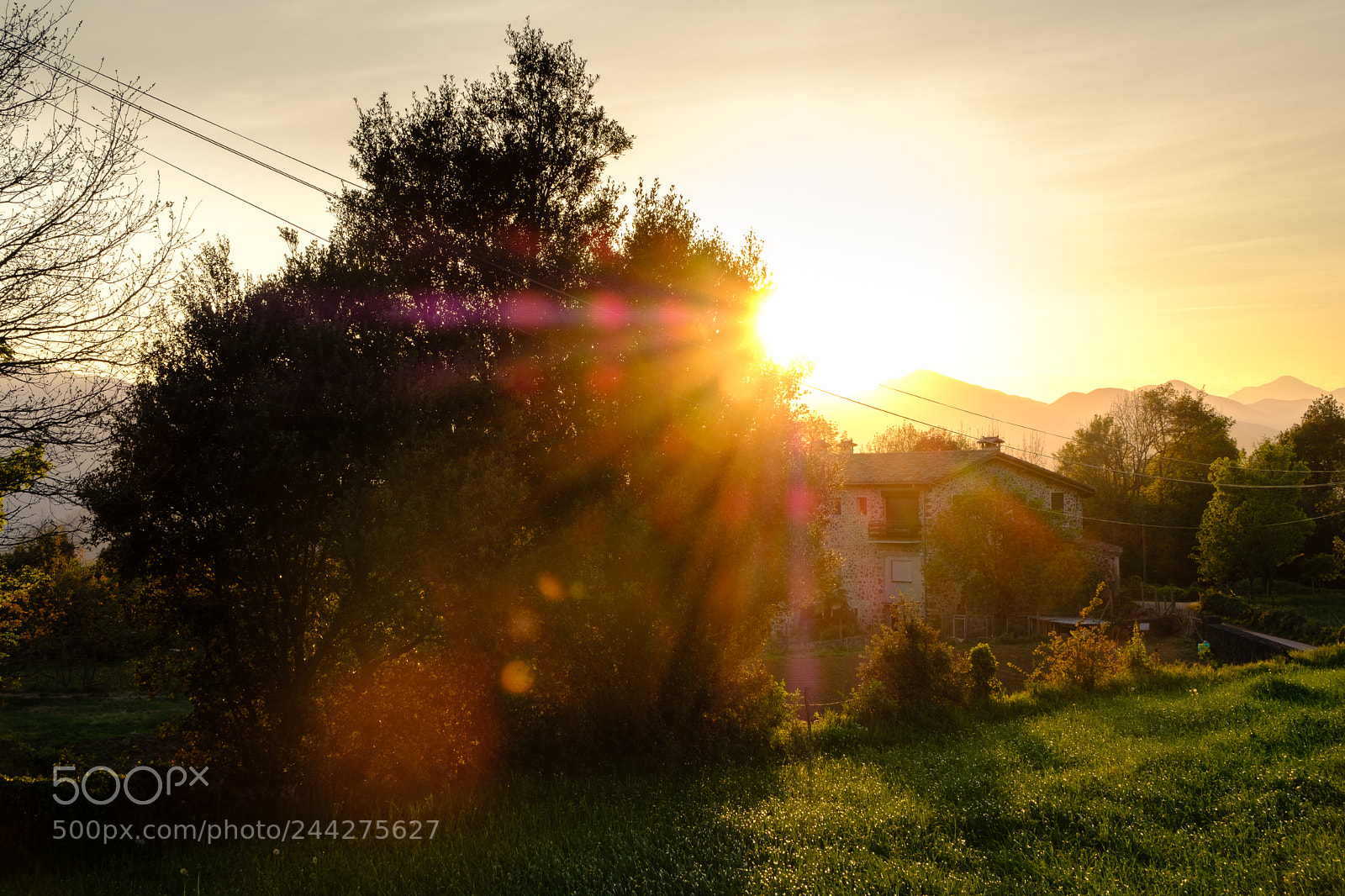 Fujifilm X-T20 sample photo. 34000540745.jpg photography