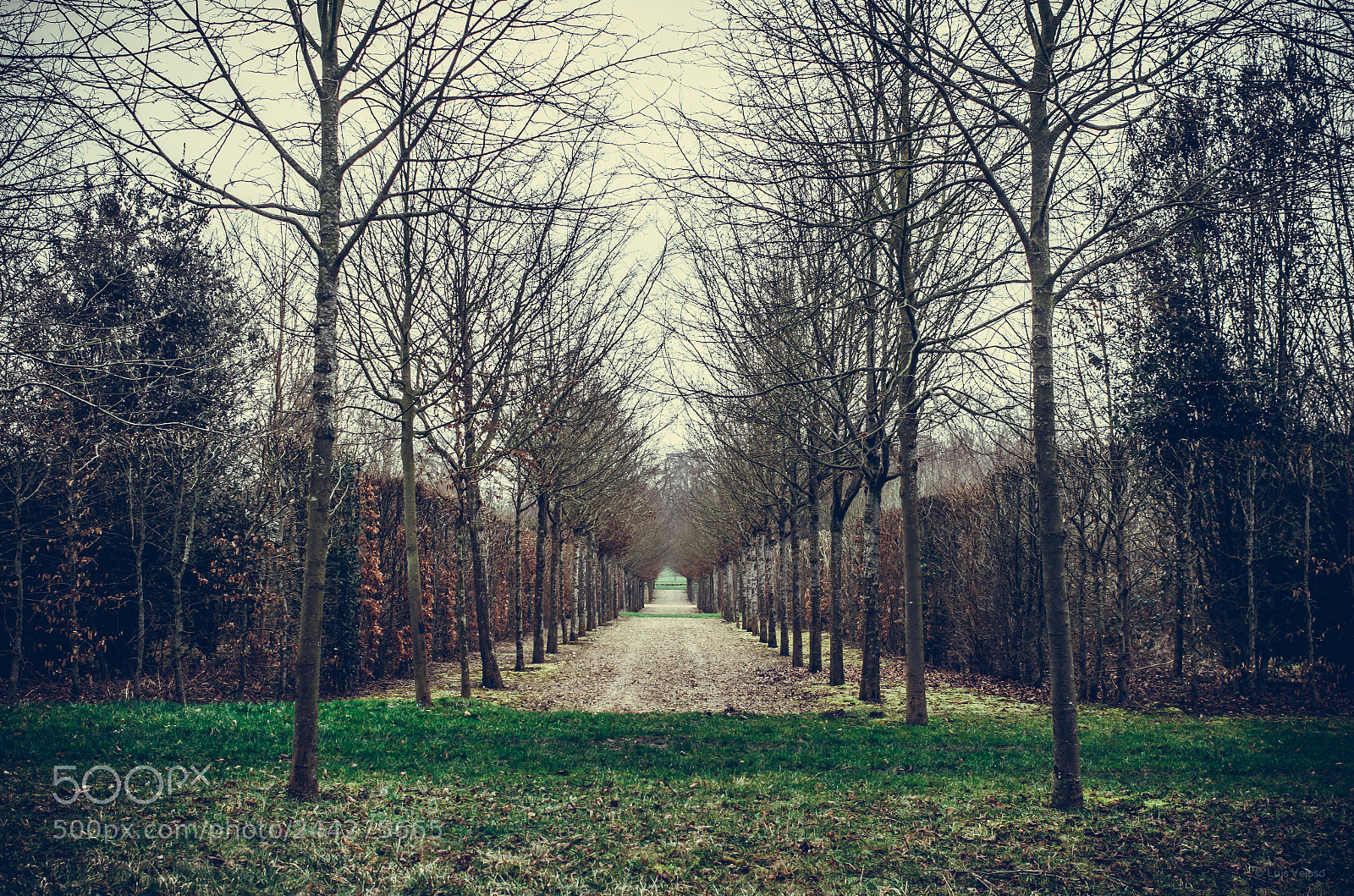 Pentax K-30 sample photo. Framed path photography