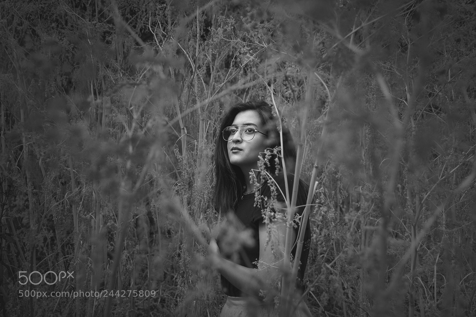 Canon EOS 600D (Rebel EOS T3i / EOS Kiss X5) sample photo. Chile | santiago | portrait photography
