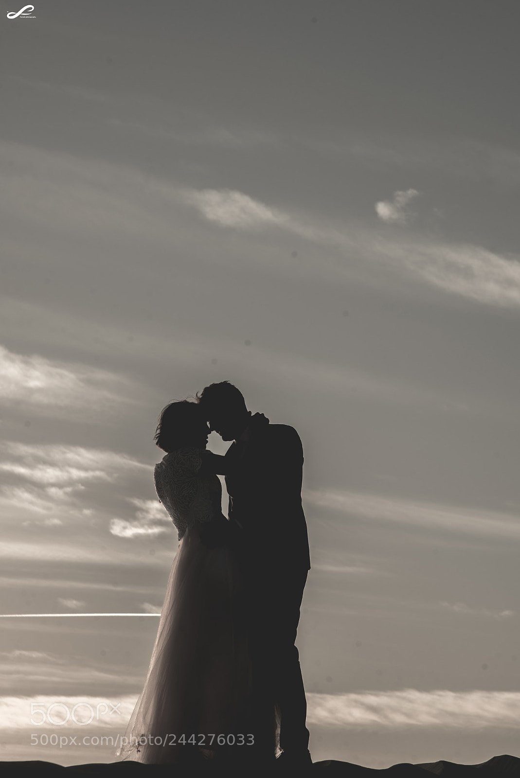 Nikon D610 sample photo. M&z photography