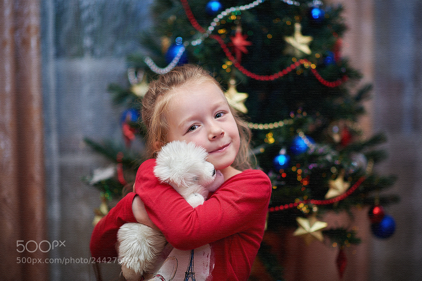 Nikon D810 sample photo. С любимой игрушкой photography