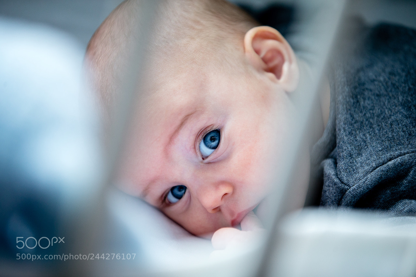 Canon EOS-1D X sample photo. Untitled photography