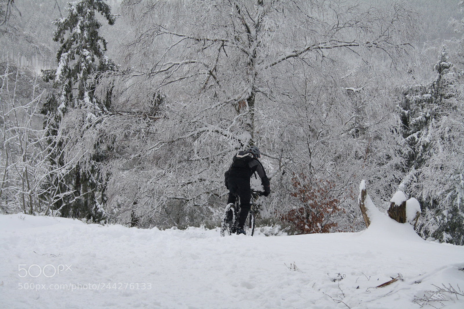 Canon EF-S 18-55mm F3.5-5.6 II sample photo. Downhill photography