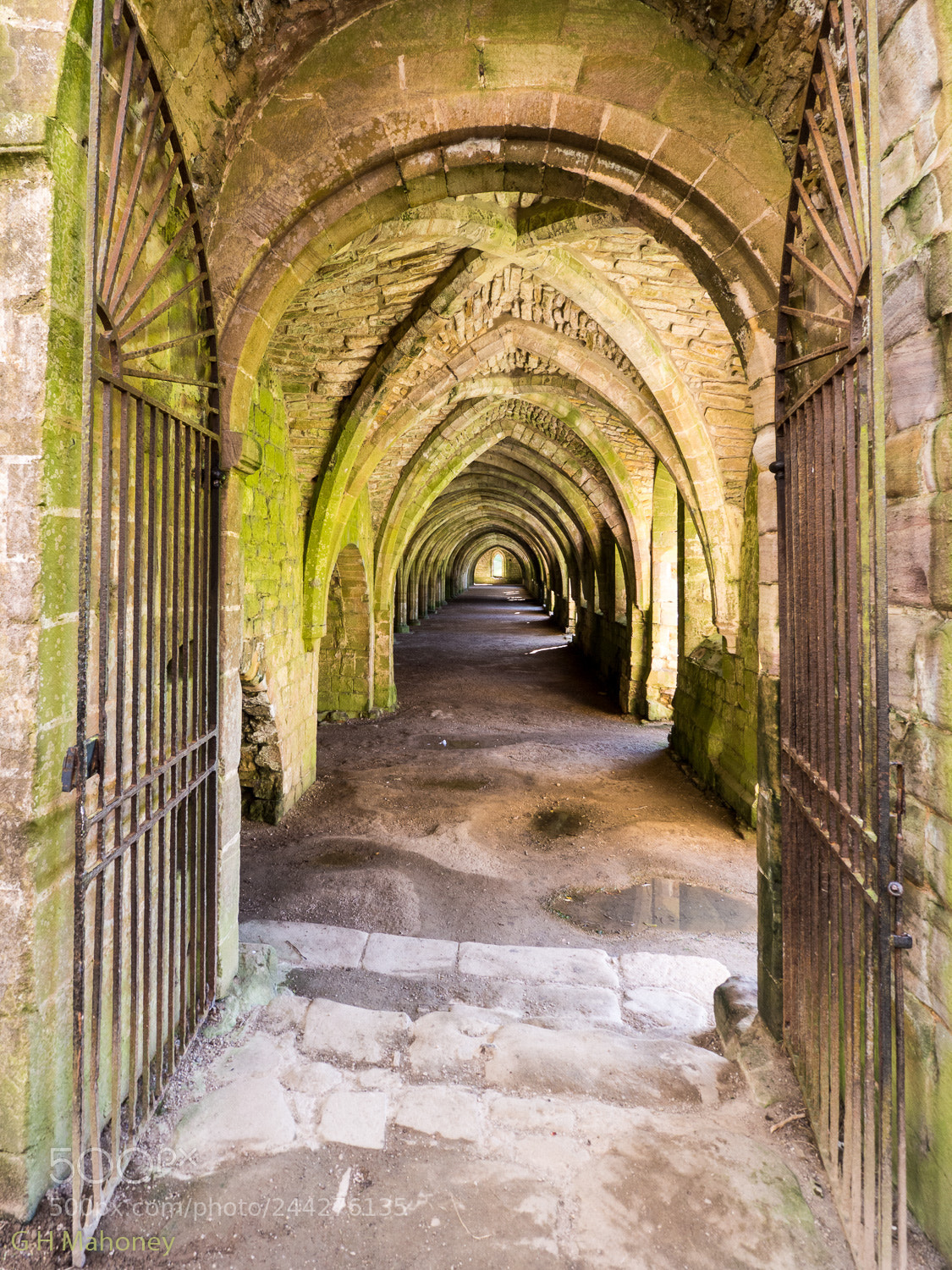 Olympus OM-D E-M10 II sample photo. Cloister photography