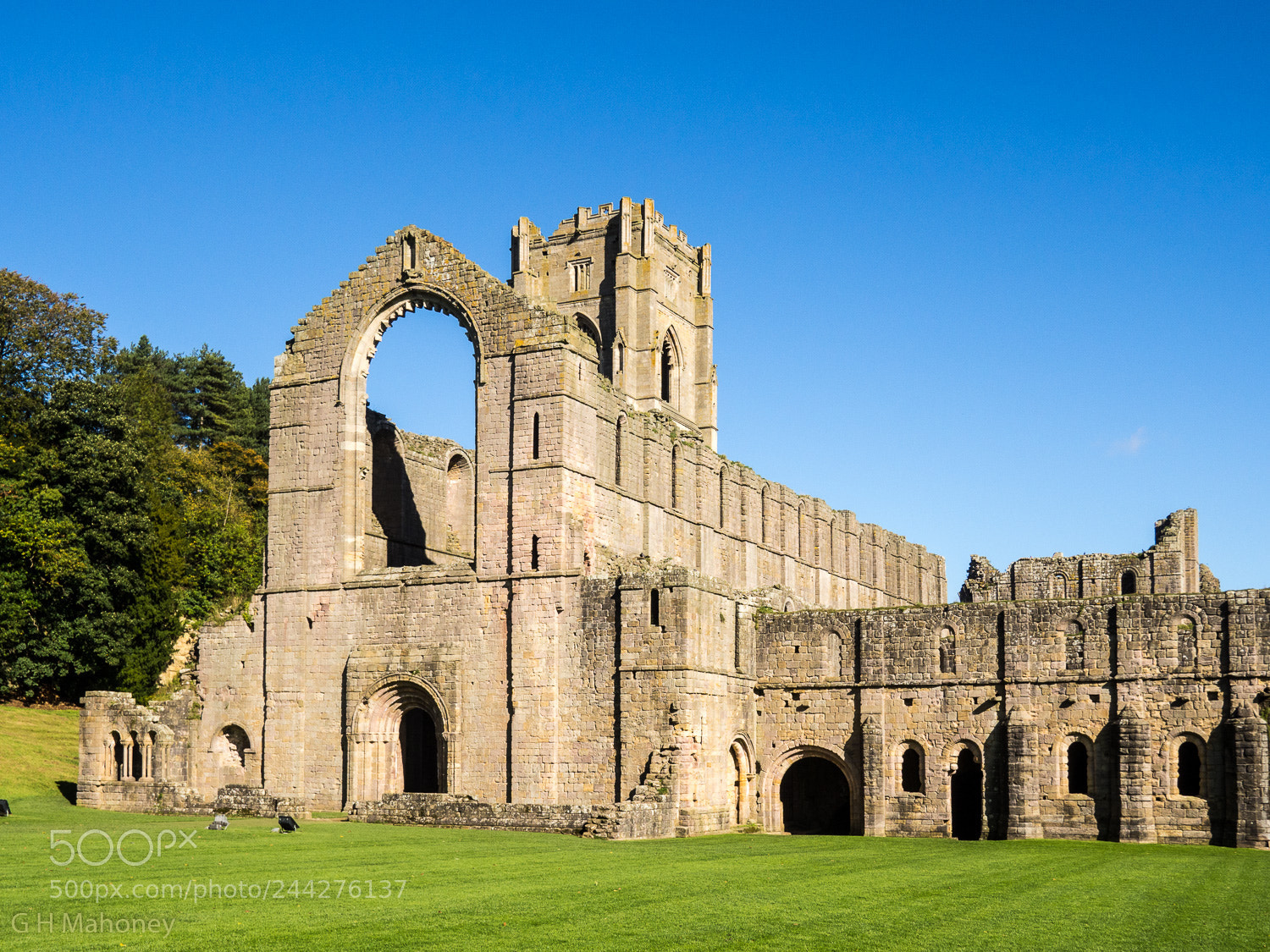 Olympus OM-D E-M10 II sample photo. Fountains abbey photography