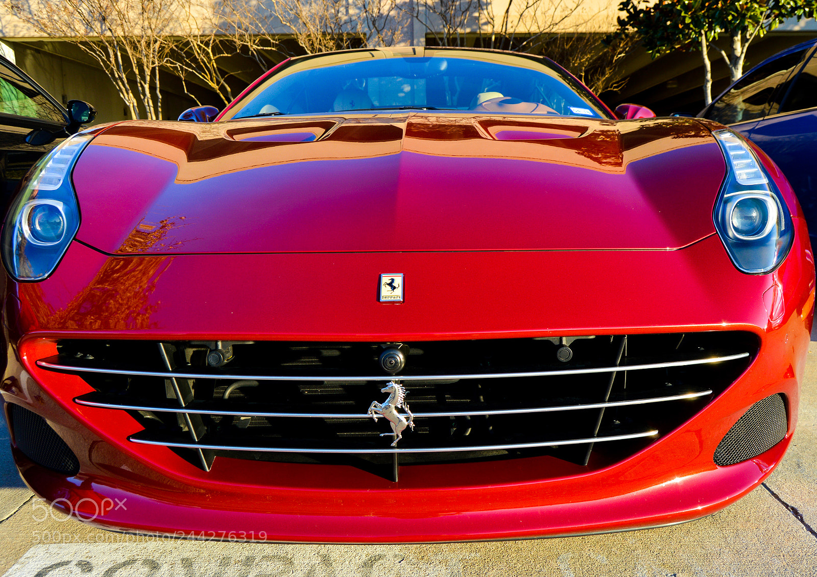 Nikon D3200 sample photo. Parked ferrari photography