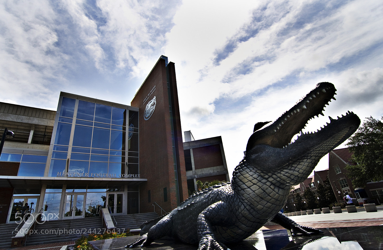 Canon EOS 40D sample photo. Gator in highpass filter photography