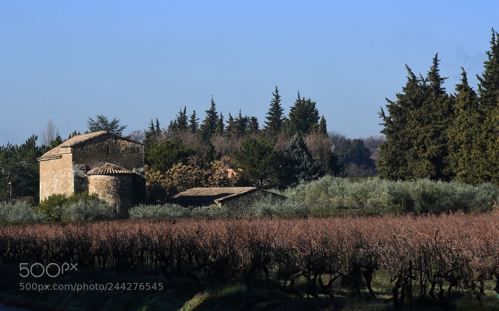 Nikon D7200 sample photo. Province wine cave photography