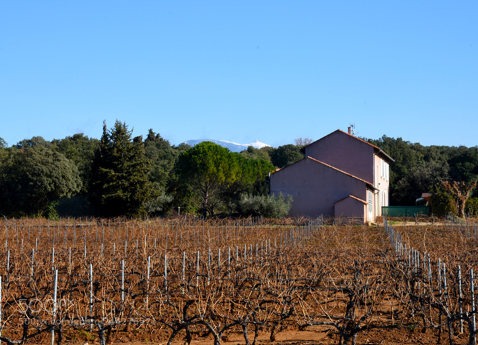 Nikon D7200 sample photo. Province wine fields photography