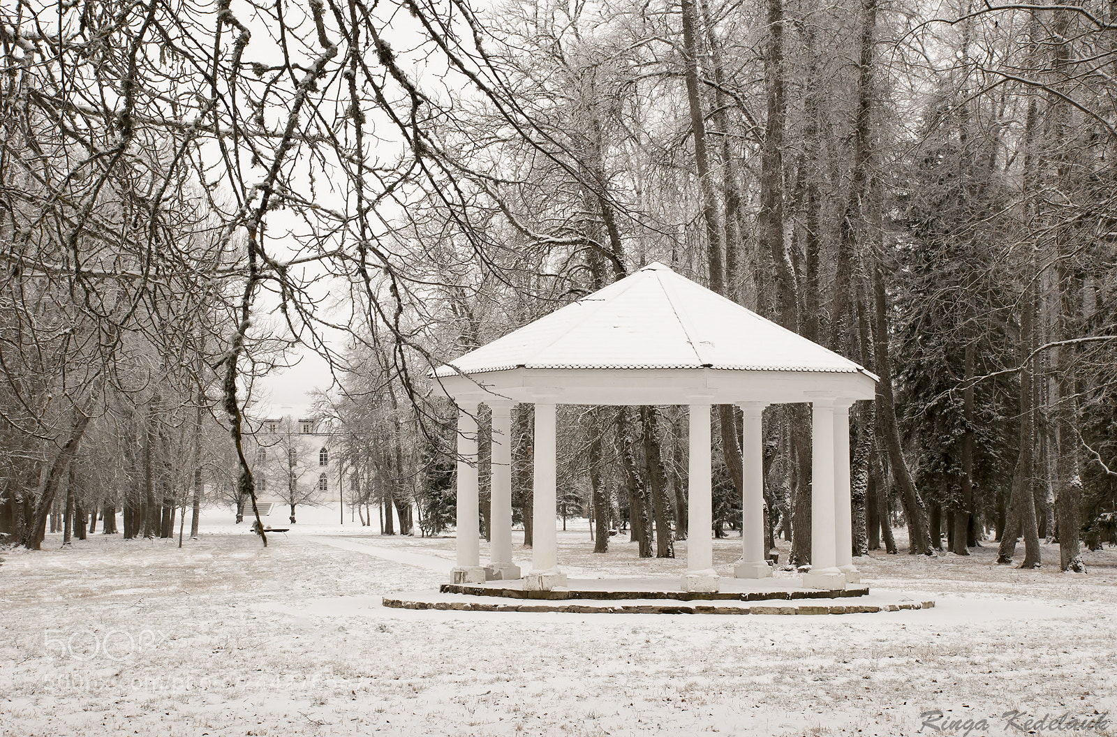 Nikon D80 sample photo. Koluvere castle pavilion photography