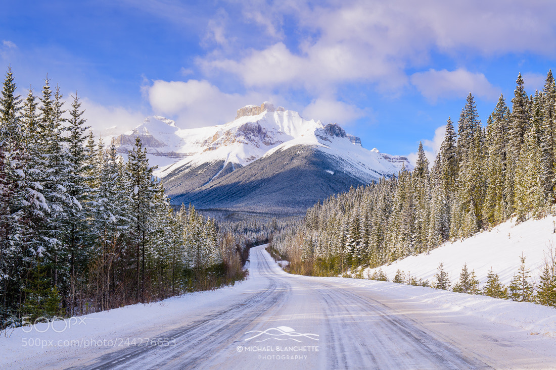 Nikon D850 sample photo. To the mountain we photography