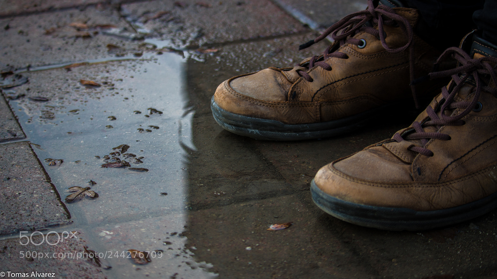 Canon EOS 750D (EOS Rebel T6i / EOS Kiss X8i) sample photo. Go for a little photography