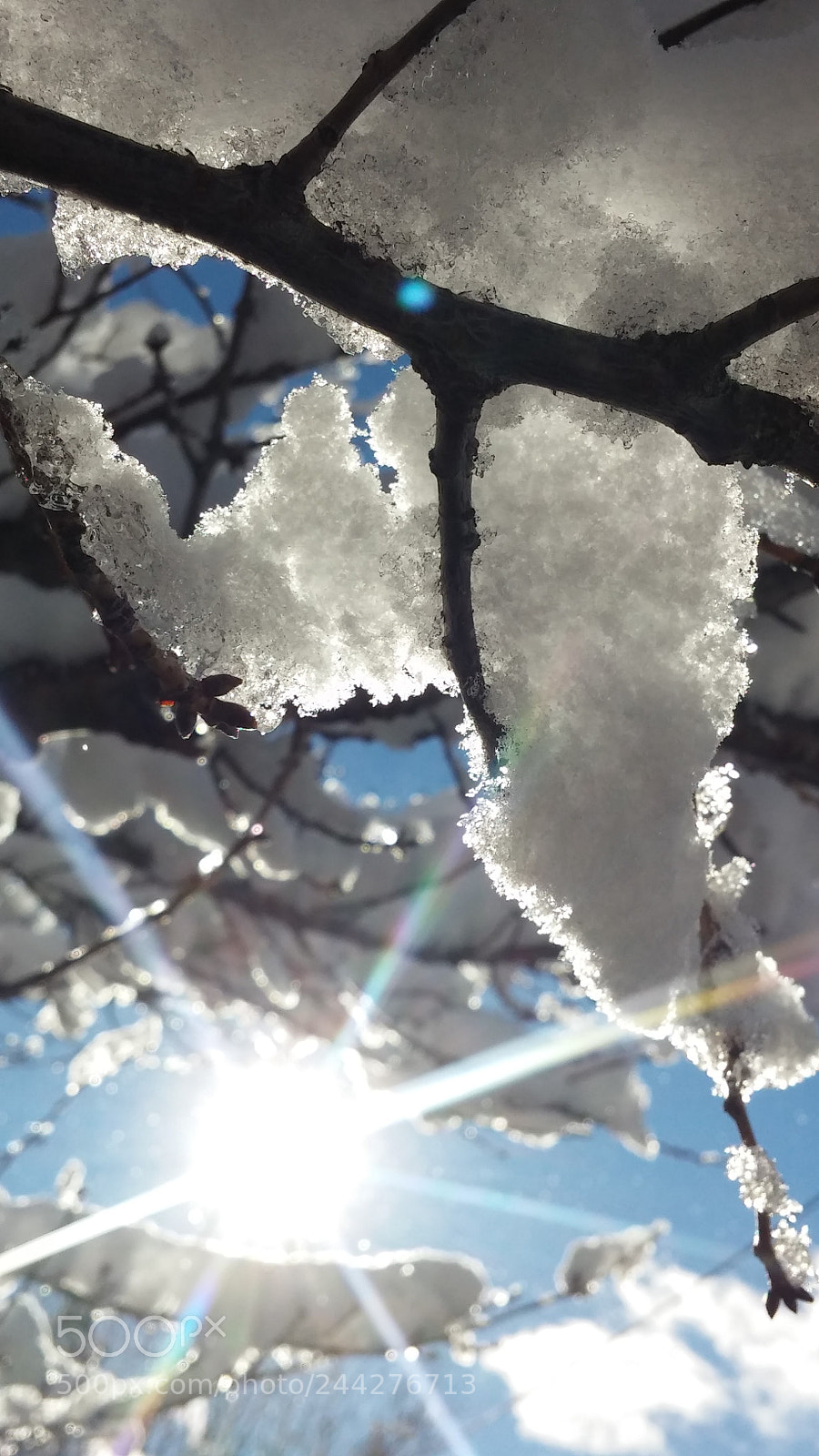 LG G2 sample photo. Winter sunshine photography
