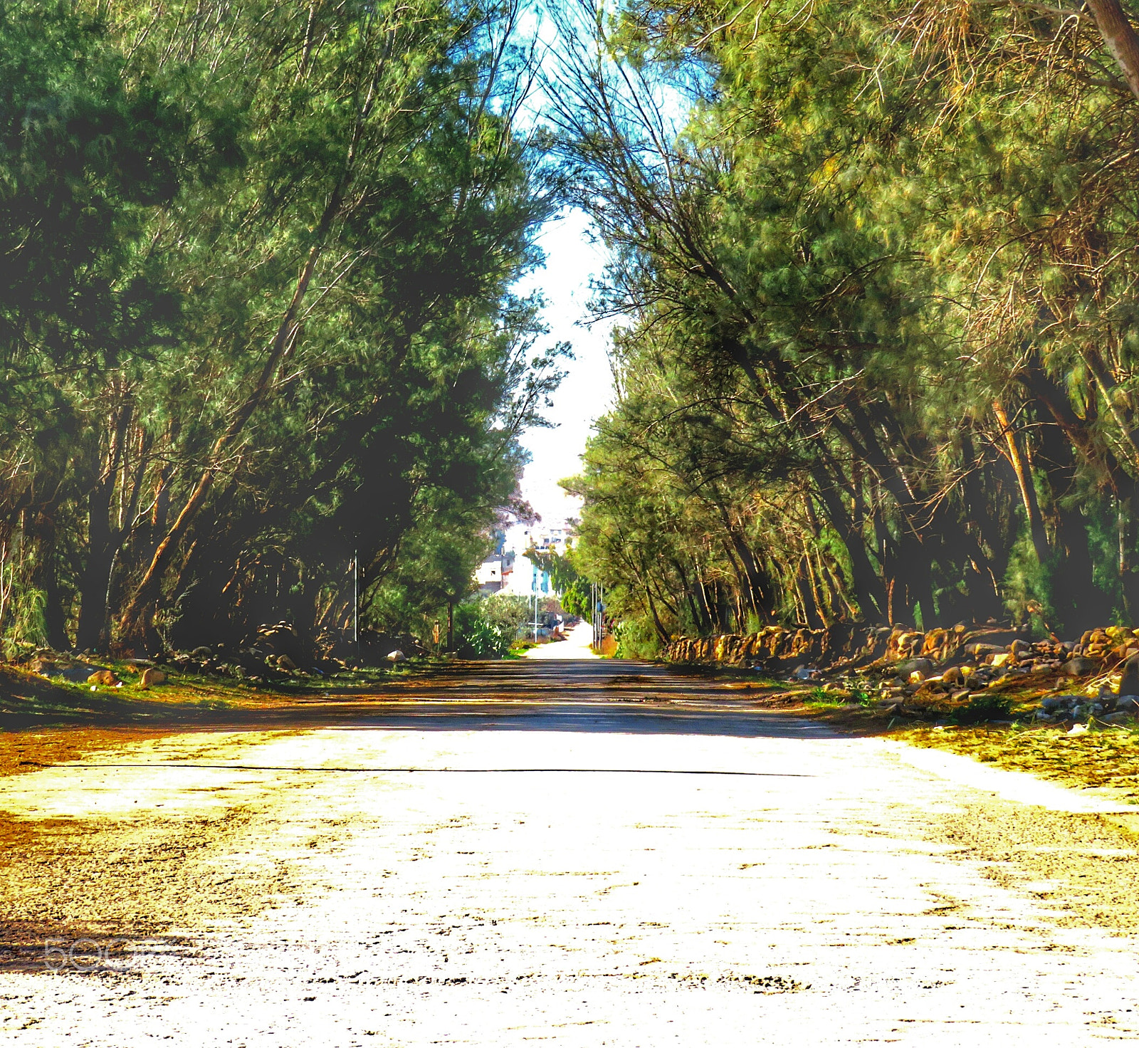 Canon PowerShot SX720 HS sample photo. Untitled photography