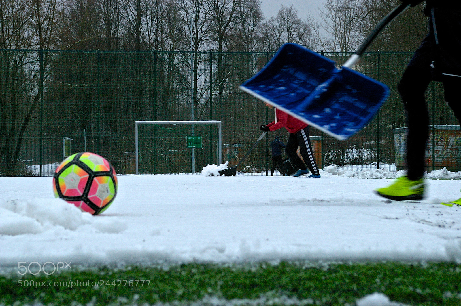 Pentax K100D sample photo. Preparing the field photography