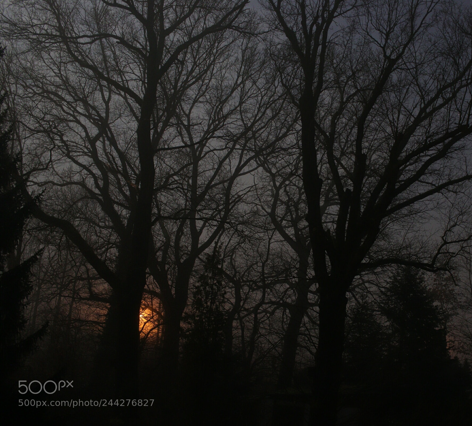 Canon EOS 77D (EOS 9000D / EOS 770D) sample photo. Untitled photography