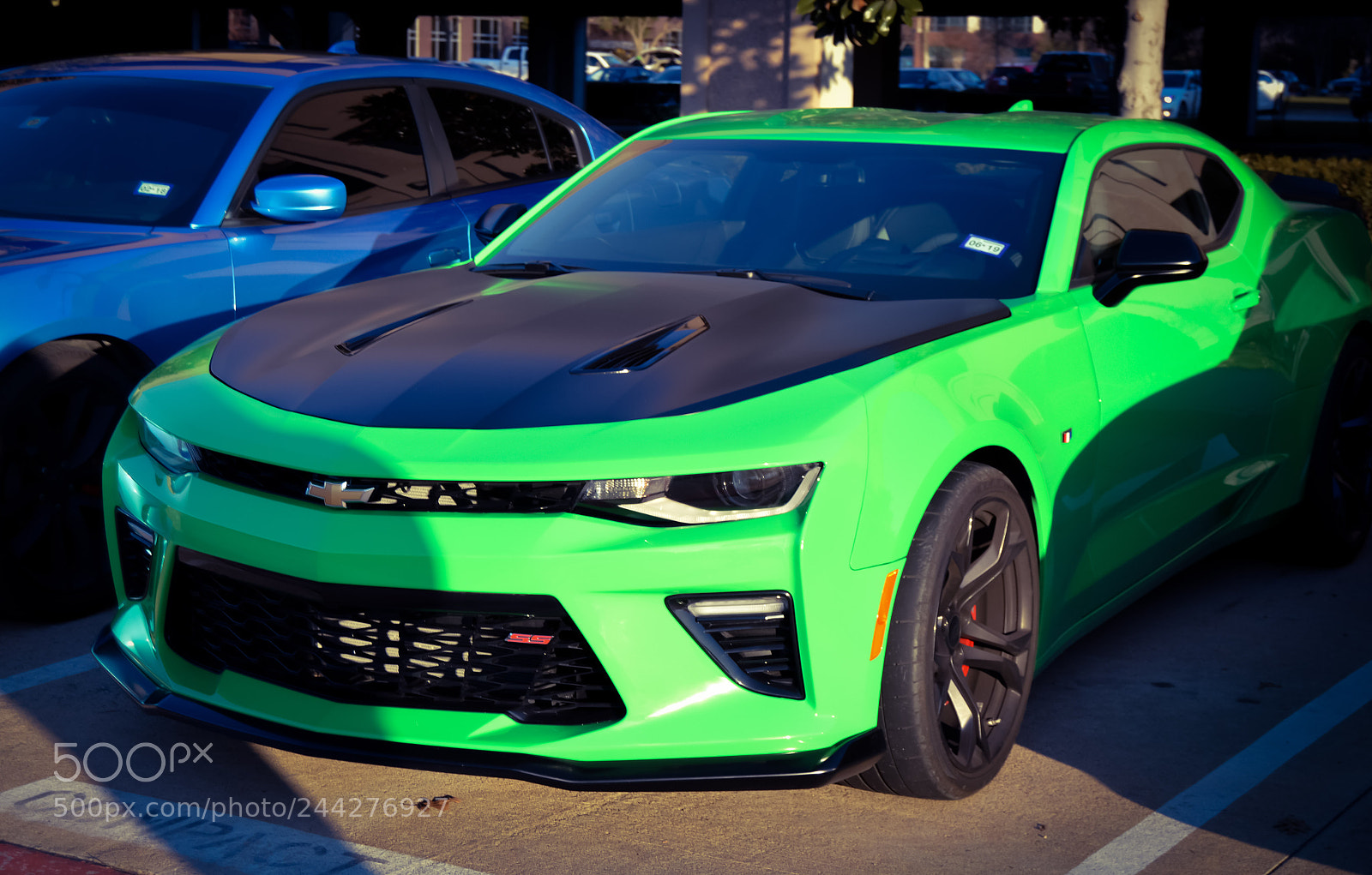 Nikon D3200 sample photo. Mean green photography