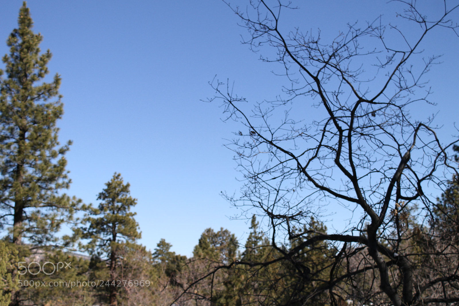 Canon EOS 1100D (EOS Rebel T3 / EOS Kiss X50) sample photo. Img photography