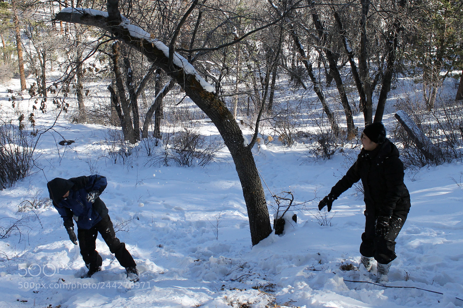 Canon EOS 1100D (EOS Rebel T3 / EOS Kiss X50) sample photo. () photography