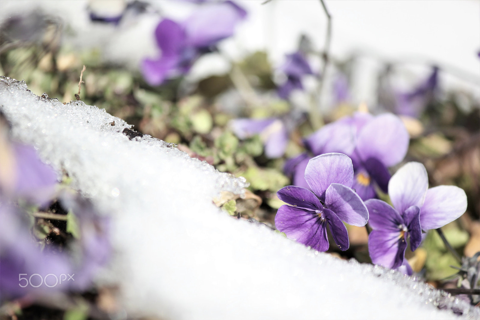 Canon EF-S 55-250mm F4-5.6 IS II sample photo. Snowy children photography