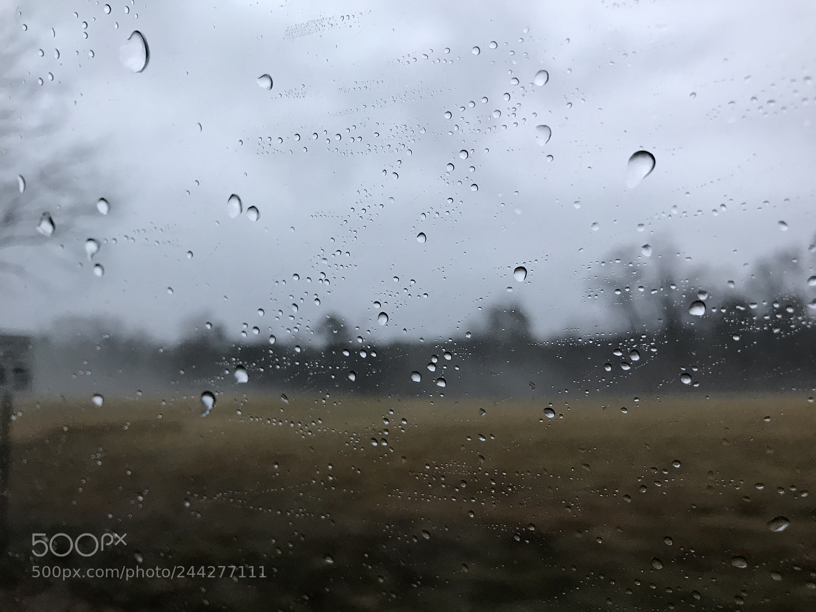 Apple iPhone 7 sample photo. Rainy day photography