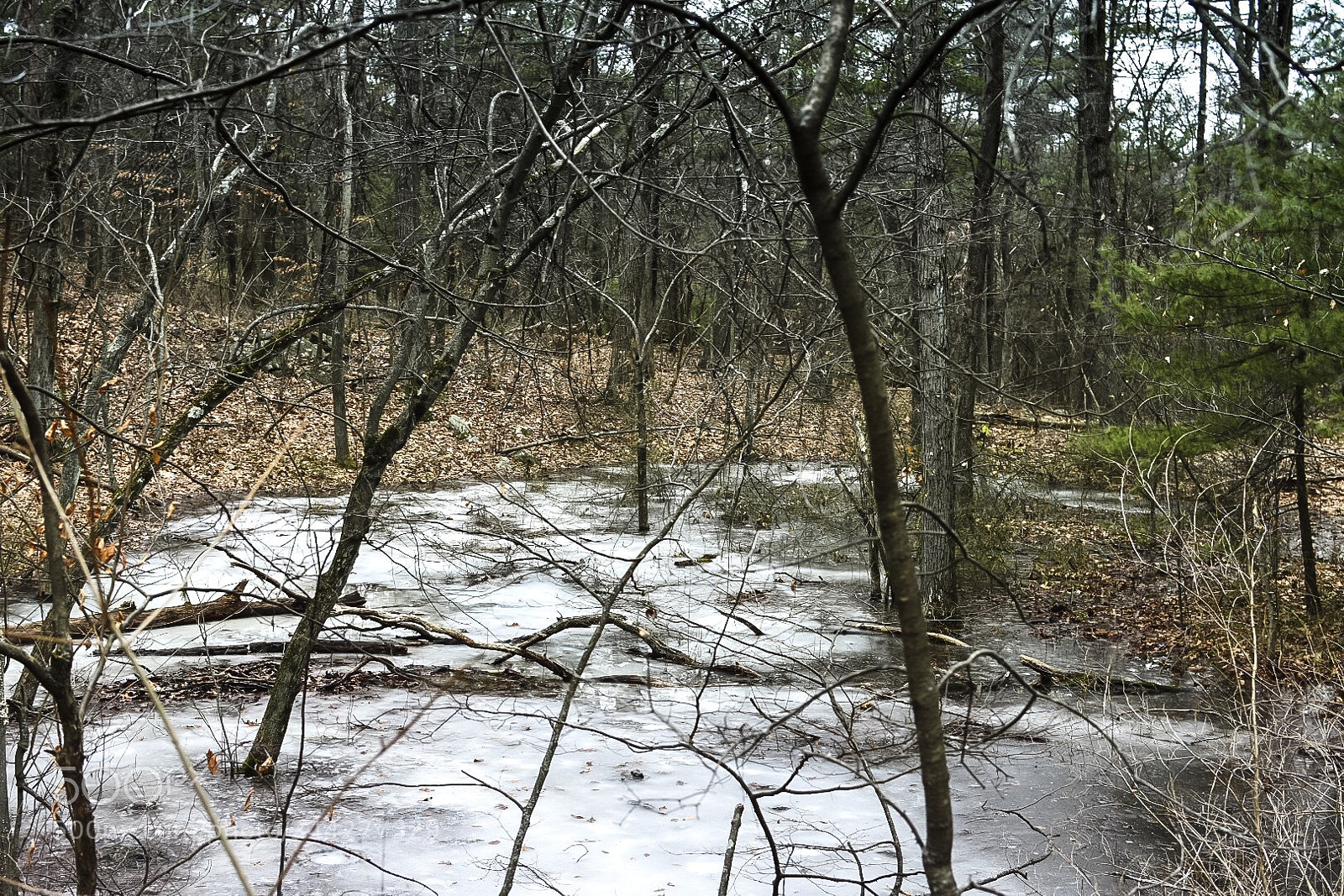 Nikon D7200 sample photo. Foggy ice photography