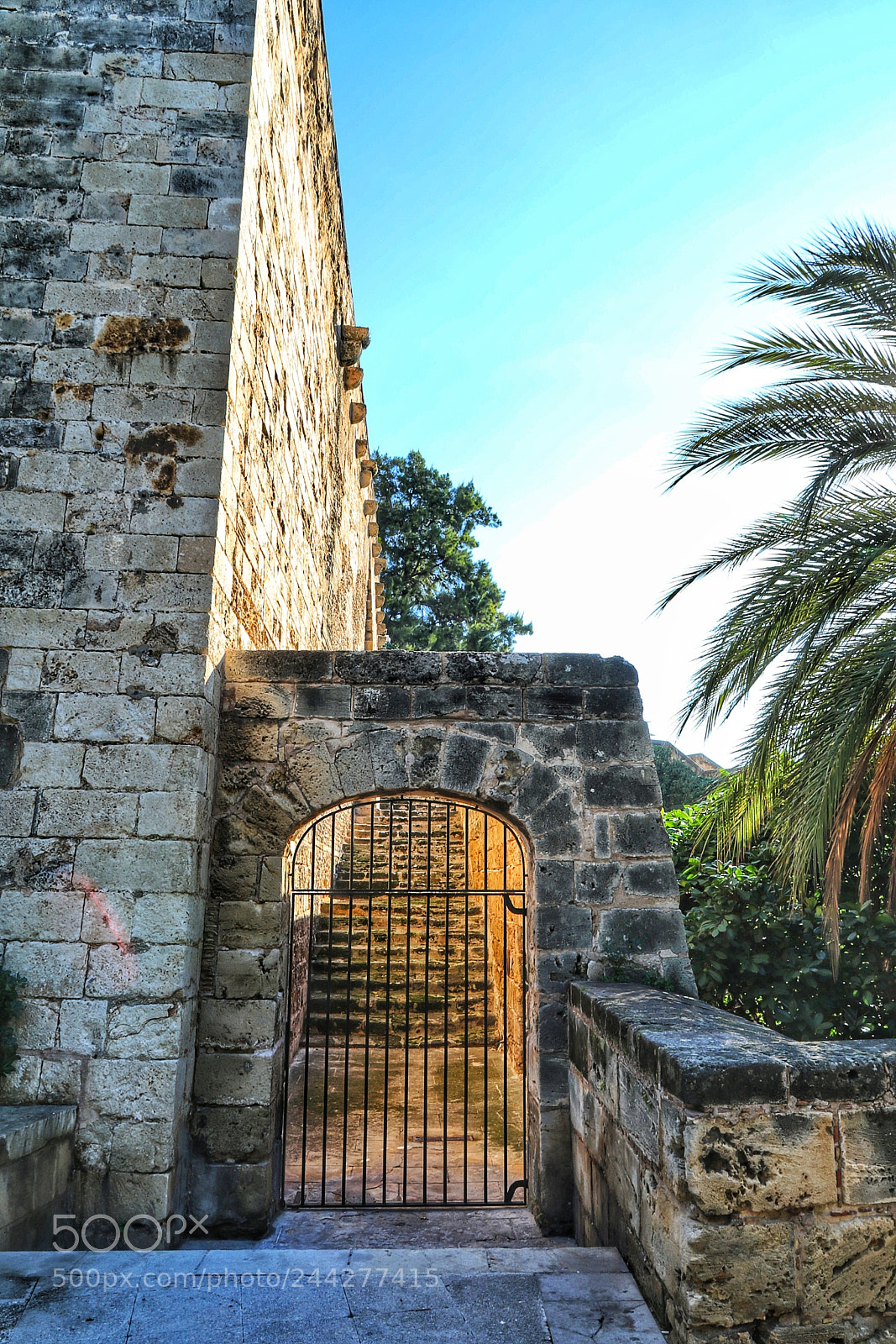 Canon EOS 7D Mark II sample photo. Royal palace of almudaina photography