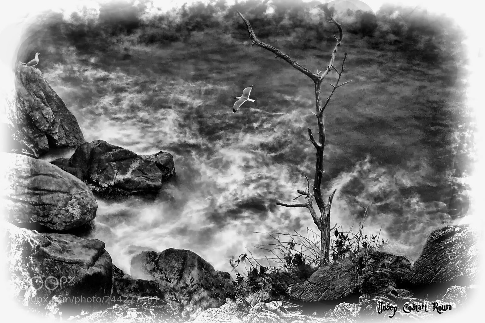 Canon PowerShot G1 X Mark II sample photo. Cala go go costa photography