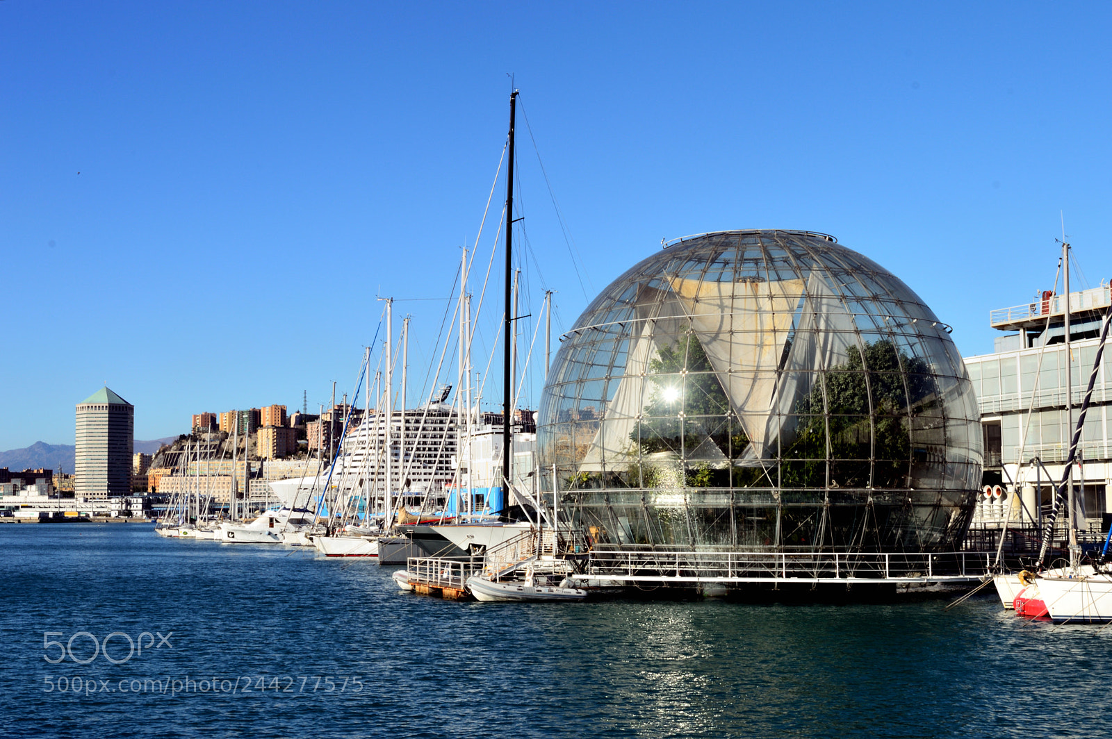 Nikon D3200 sample photo. The big ball photography