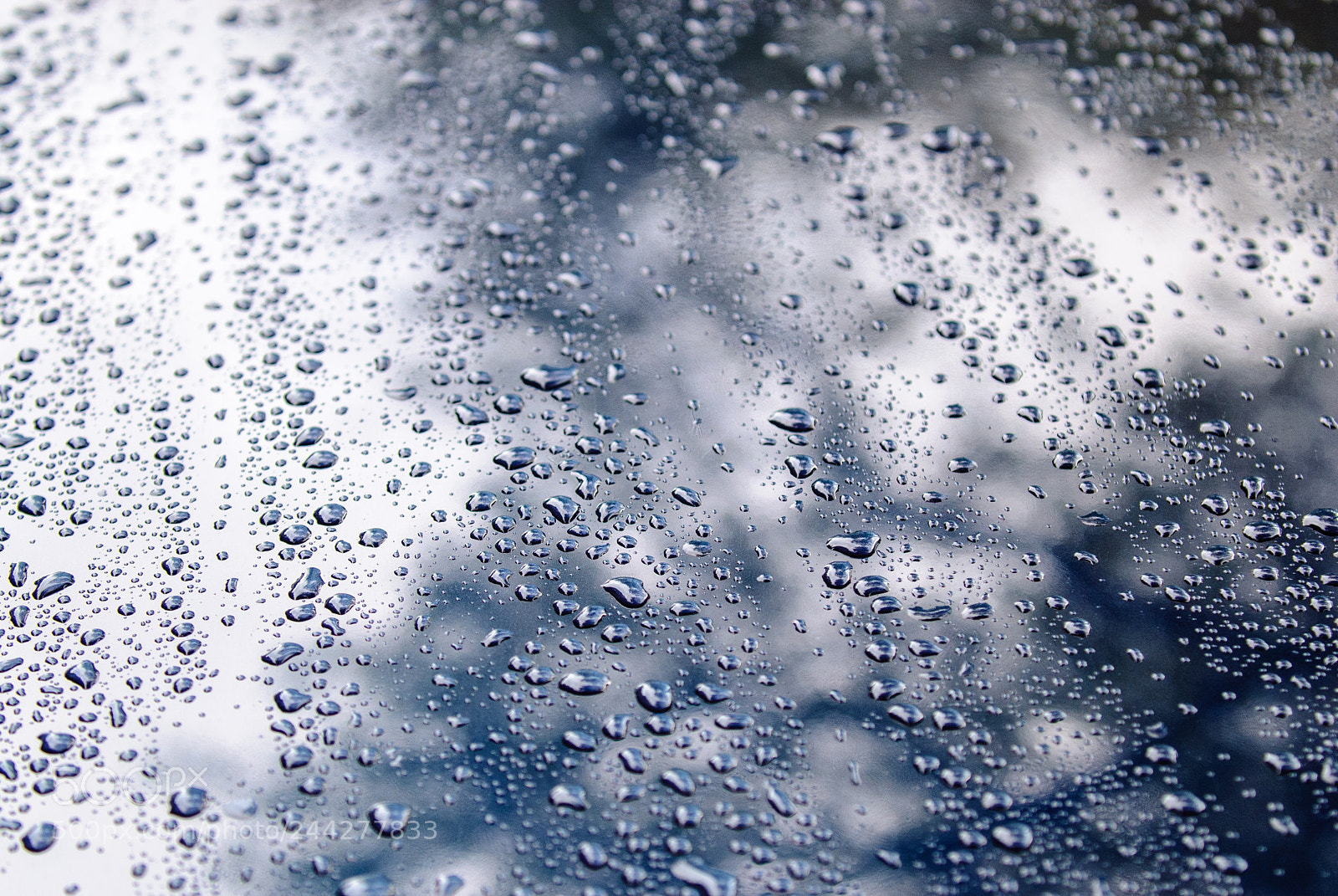 Nikon D200 sample photo. Raindrops photography