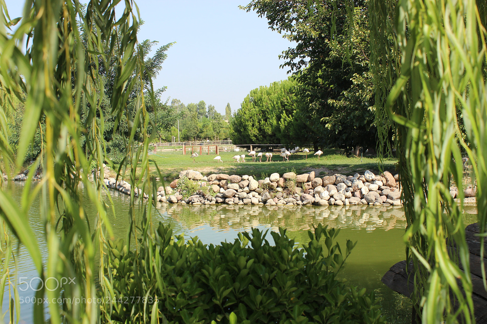 Canon EF-S 18-55mm F3.5-5.6 III sample photo. Img photography