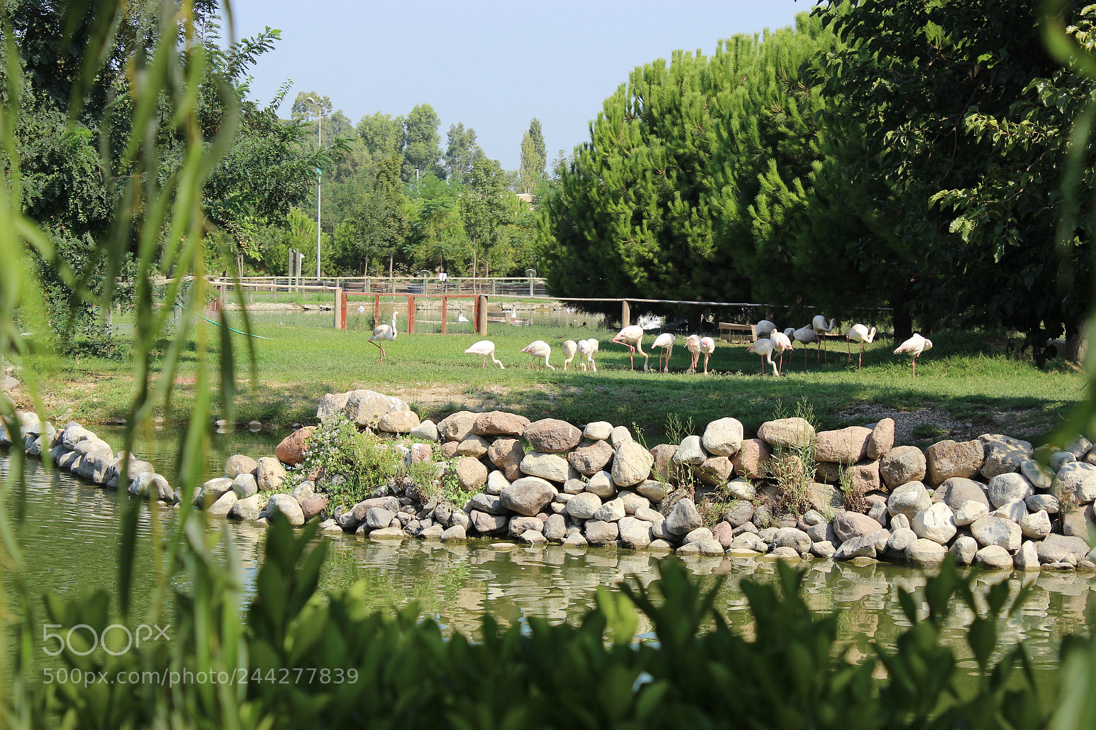 Canon EF-S 18-55mm F3.5-5.6 III sample photo. Img photography