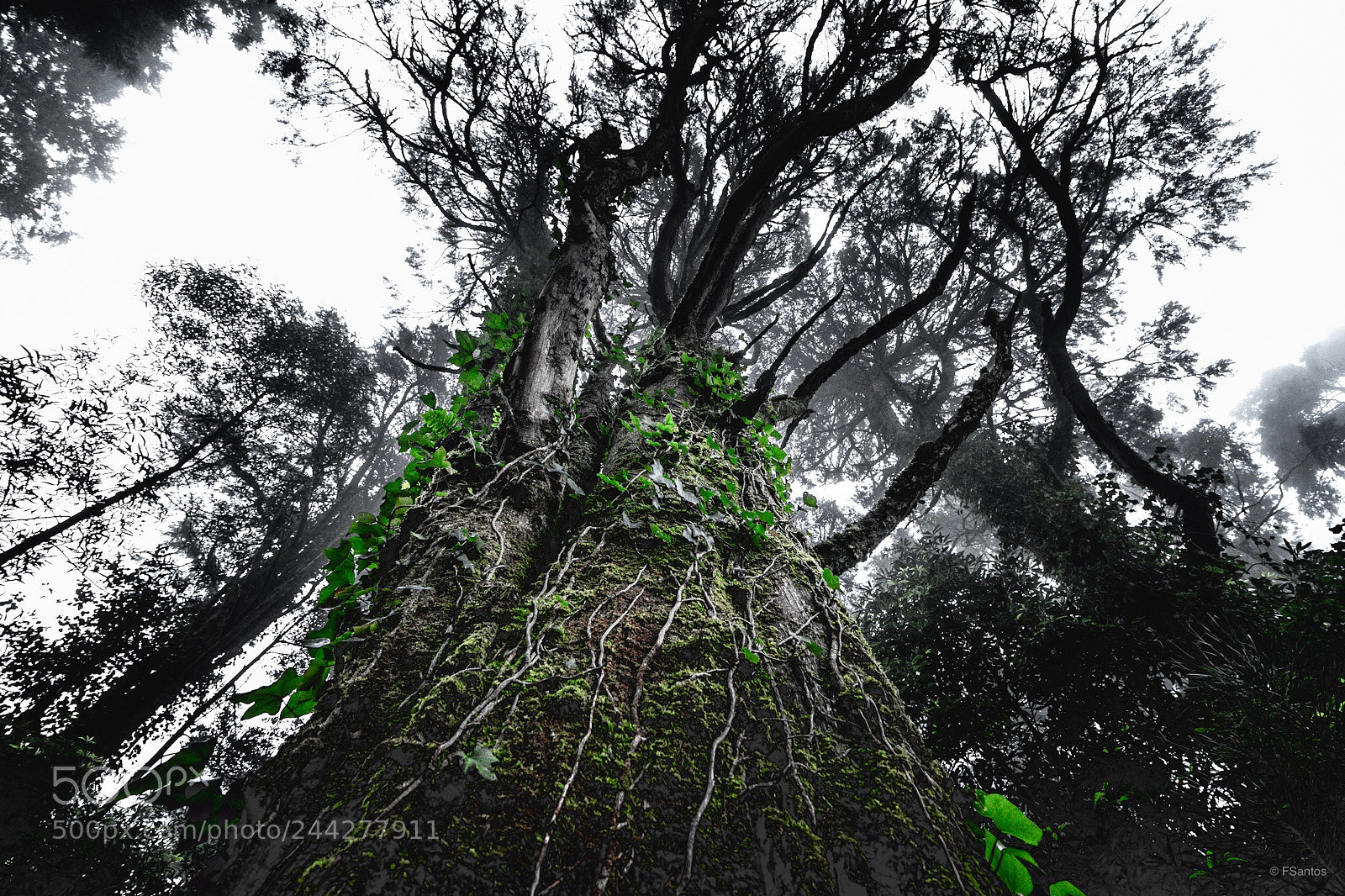 Canon EOS 77D (EOS 9000D / EOS 770D) sample photo. Untitled photography
