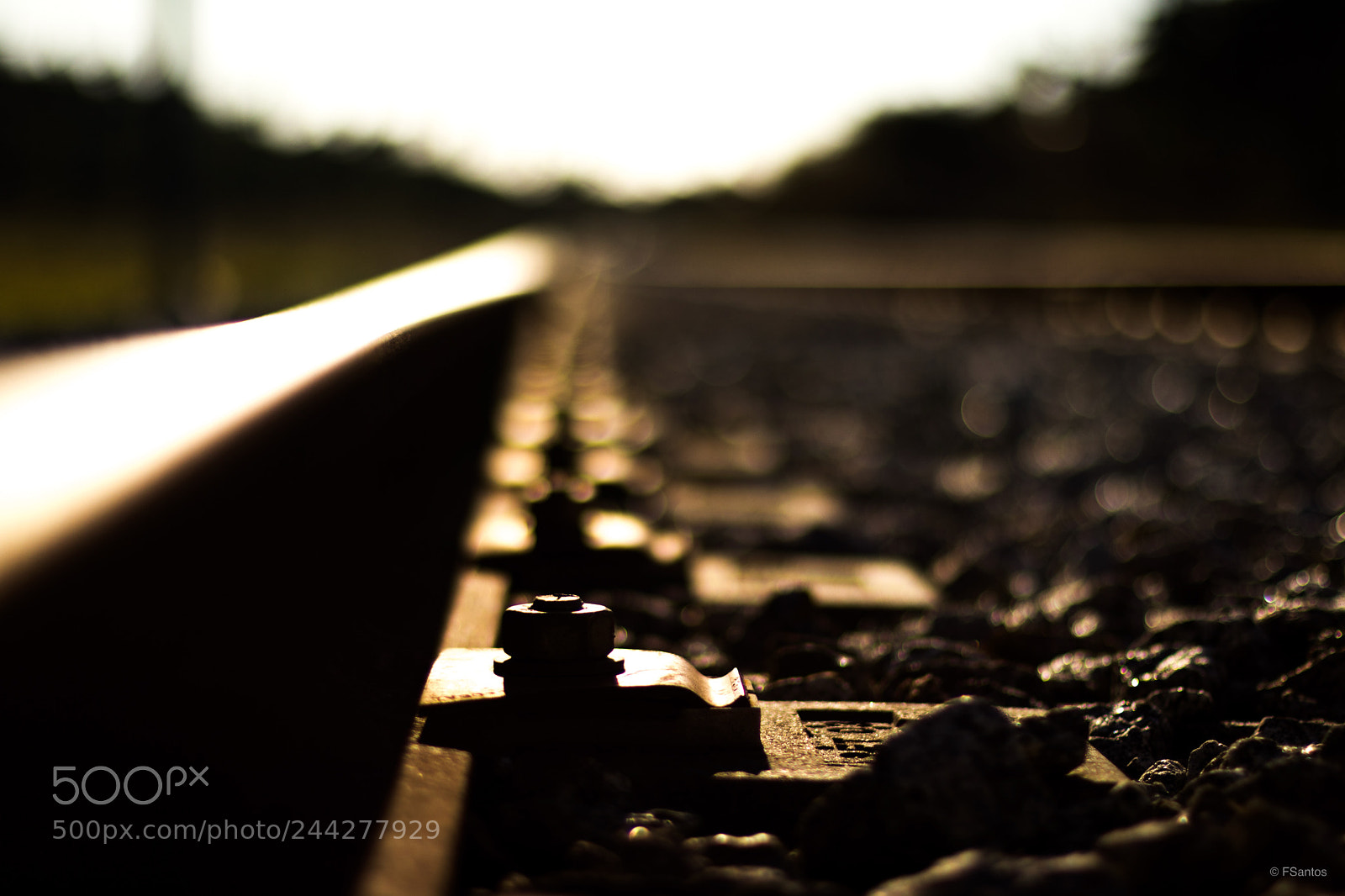 Canon EOS 77D (EOS 9000D / EOS 770D) sample photo. Untitled photography