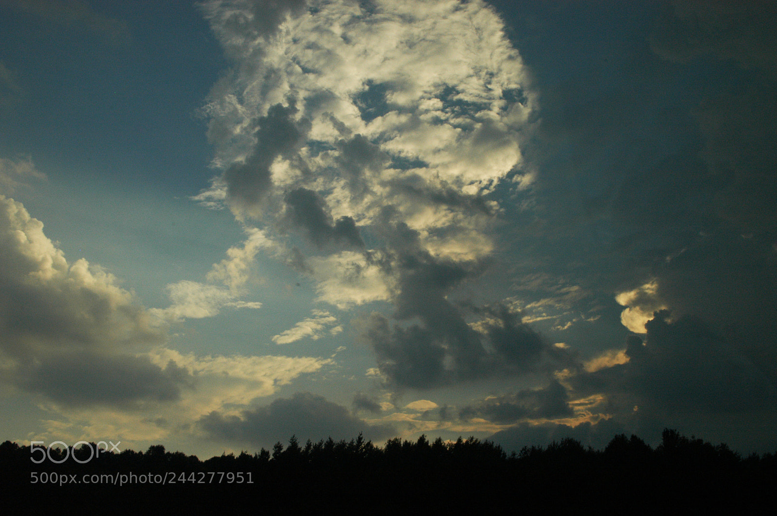 Nikon D100 sample photo. Cloud ball in the photography