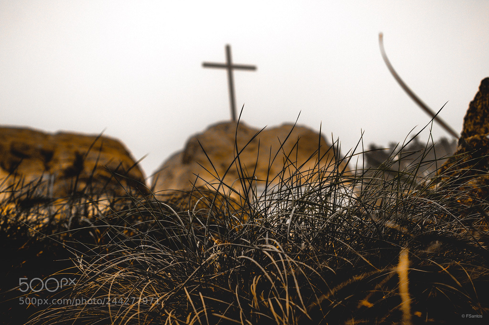 Canon EOS 77D (EOS 9000D / EOS 770D) sample photo. Untitled photography