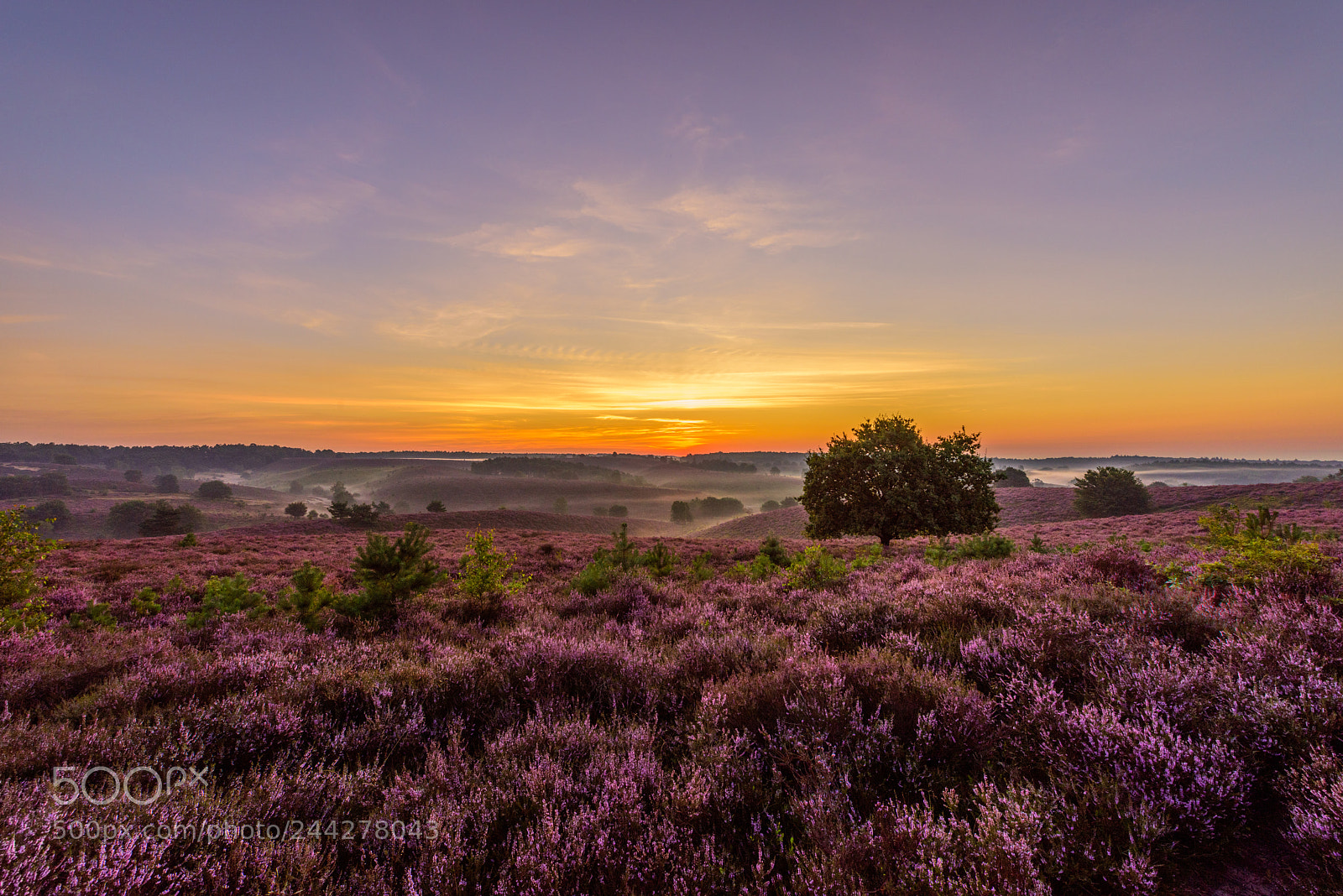 Nikon D810 sample photo. As the sun rises photography