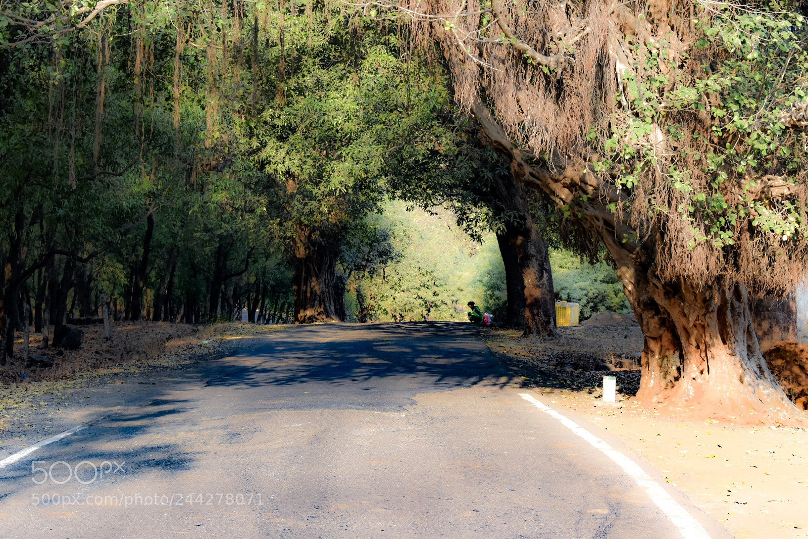Nikon D3400 sample photo. Road trip photography in photography