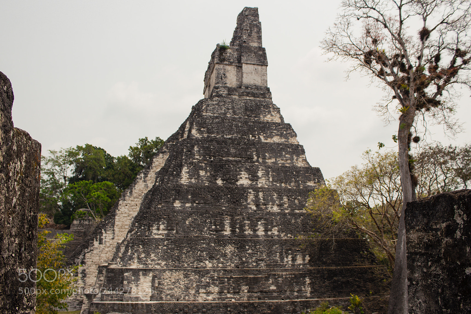 Canon EOS 1200D (EOS Rebel T5 / EOS Kiss X70 / EOS Hi) sample photo. Family trip peten photography