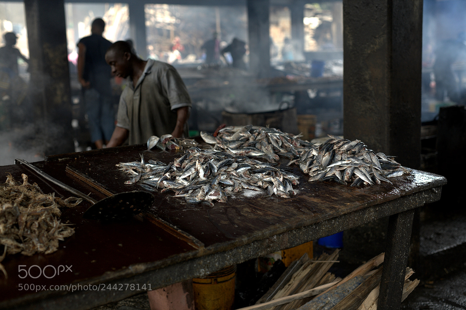 Canon EOS 5D sample photo. Sardines exposition in the photography